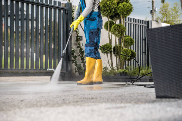 Boat and Dock Cleaning in White Meadow Lake, NJ